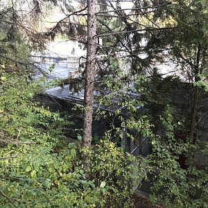 Russia’s Grizzly Coast - Amur Leopard Holding Area