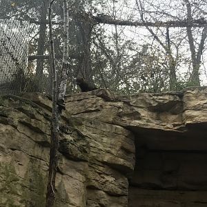 Medtronic Minnesota Trail - Fisher Exhibit