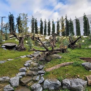 Biggest part of the renovated snow leopard enclosure