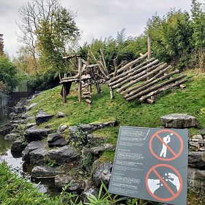Giant panda enclosure