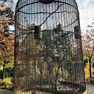 The biggest bird cage I've ever seen