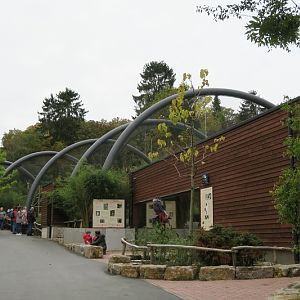 Ring-tailed and Red Ruffed Lemur Enclosure (new 2021)