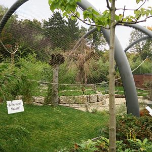 Ring-tailed and Red Ruffed Lemur Enclosure (new 2021)