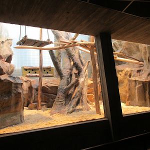 Hamlyn's monkey enclosure