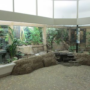 Asian indoor aviary