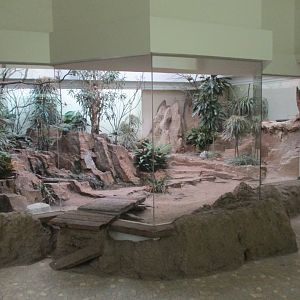 Indoor African arid aviary