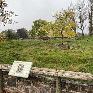 Tsavo Reserve - Eastern black rhinoceros exhibit 181021