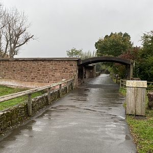 Tsavo Reserve - Meerkat exhibit 181021