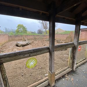 Tsavo Reserve - Meerkat exhibit 181021