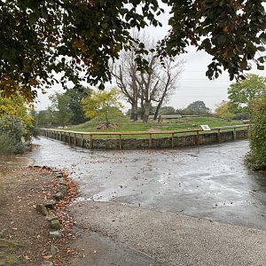 Tsavo Reserve - Eastern black rhinoceros exhibit 181021