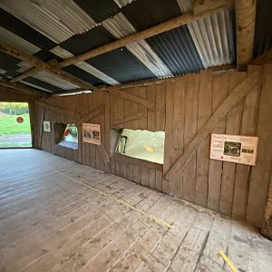 Tsavo Reserve - African hunting dog viewing area 181021