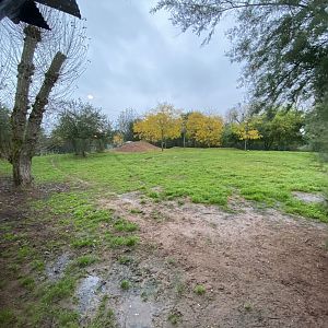 Tsavo Reserve - African hunting dog exhibit 181021