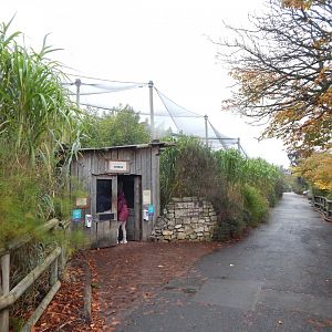 Tsavo Reserve - Tsavo Bird Safari 181021