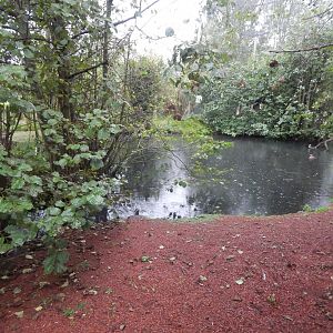 Tsavo Reserve - Tsavo Bird Safari 181021