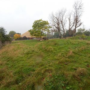 Tsavo Reserve - Eastern black rhinoceros exhibit 181021