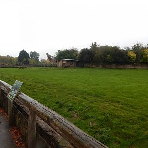 Tsavo Reserve - Western sitatunga exhibit 181021