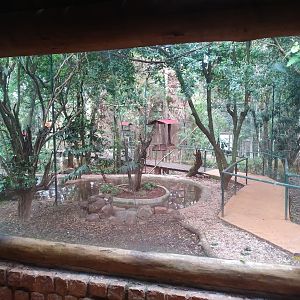 Walk-In Aviary Window