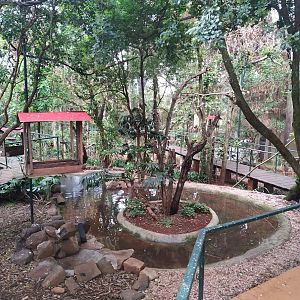 Walk-In Aviary Entrance