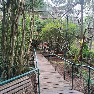 Walk-In Aviary Middle