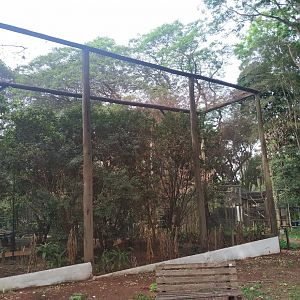 Walk-In Aviary Side View