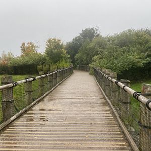 Approach to Islands 181021