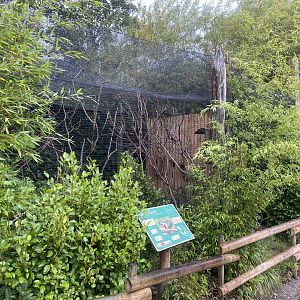 Islands - Sumatran Prevost's squirrel enclosure 181021