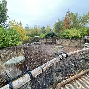 Islands - Visayan warty pig enclosure 181021
