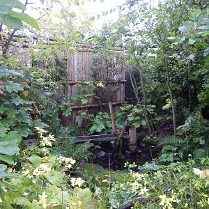 Islands - Bali Aviary 181021