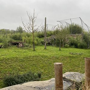 Islands - Sumatran tiger enclosure 181021
