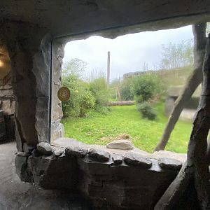 Islands - Sumatran tiger enclosure 181021