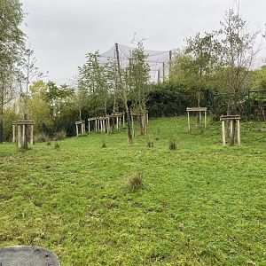 Islands - Malayan tapir enclosure 181021
