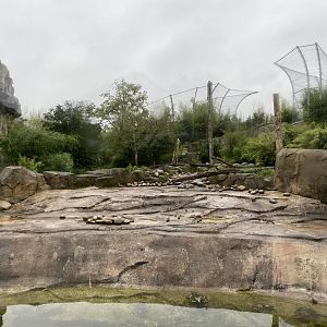 Islands - Sumatran tiger enclosure 181021