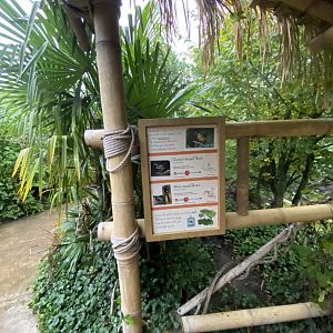 Islands - Indonesian Aviary - inhabitants sign 2 - 181021