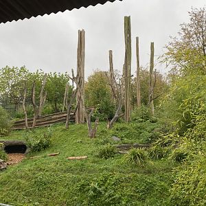 Islands - Sun bear enclosure 181021