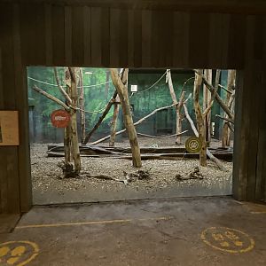 Islands - Sun bear enclosure 181021