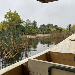 Islands Boat Trip view 181021