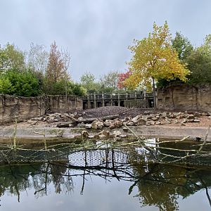 Islands Boat Trip view - Visayan warty pigs enclosure 181021