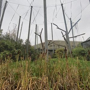 Islands Boat Trip view - primate enclosure 181021