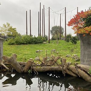 Islands Boat Trip view - primate enclosure 181021