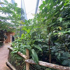 Monsoon Forest 181021