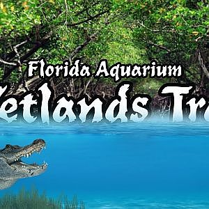 The Wetlands Trail | Florida Aquarium (Virtual Zoo Tours) (Ep. 19)