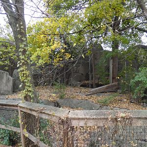 Former Sheep Ridge - Nov. 2021