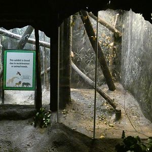 Former Pangolin Exhibit, Habitat Africa! - Nov. 2021