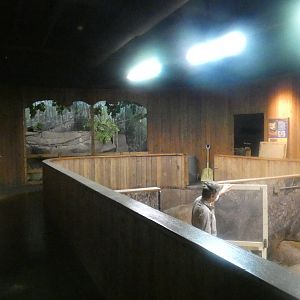 Australia House Renovations? - Nov. 2021