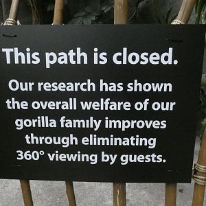Gorilla 360 viewing closed, Tropic World - Nov. 2021