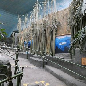 Gorilla 360 viewing closed, Tropic World - Nov. 2021