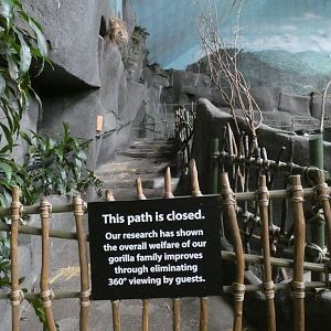Gorilla 360 viewing closed, Tropic World - Nov. 2021