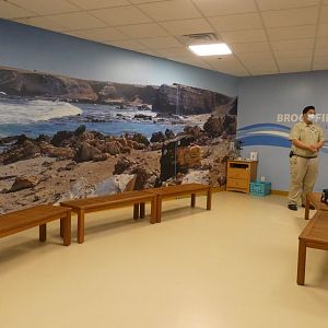 Penguin Encounter, Living Coast - Nov. 2021