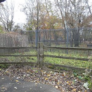 Former Aardvark "Play Yard", Habitat Africa!  - Nov. 2021