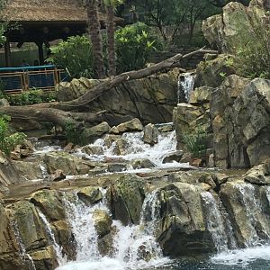 Elephant Pool Waterfall